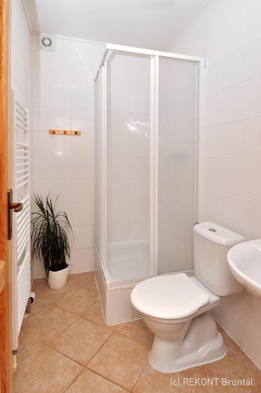 Ubytovani U Rohelu Karlova Studánka 部屋 写真